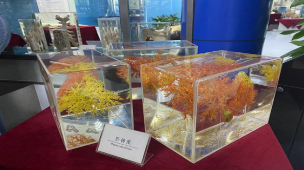 image-20240311144056-5