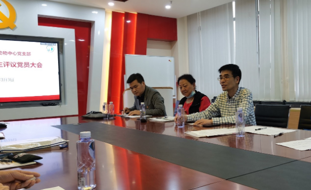 image-20240311144504-2