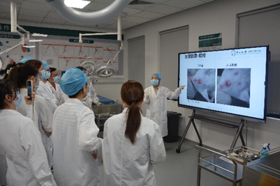 image-20240628114135-5