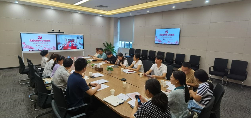 image-20240708164337-6