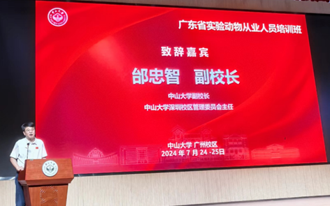 image-20240806163229-2