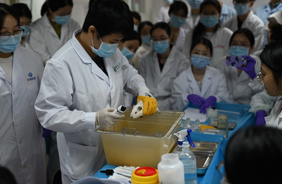 image-20240806163617-5