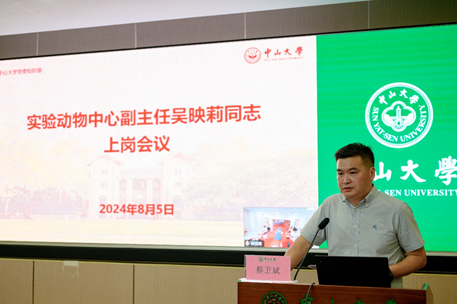 image-20240812112229-6