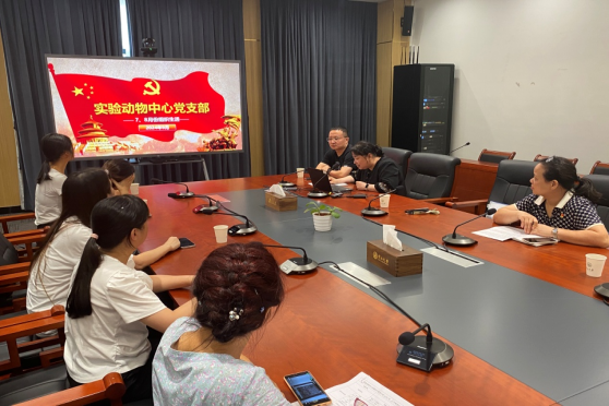 image-20240928000925-2